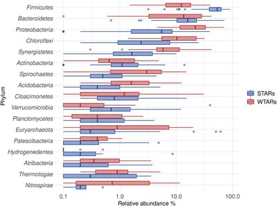 Database Mining to Unravel the Ecology of the Phylum Chloroflexi in Methanogenic Full Scale Bioreactors